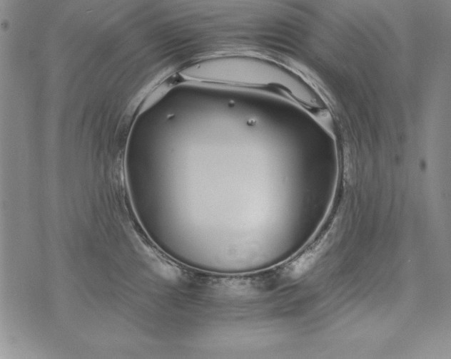 X0000076271241200610122247