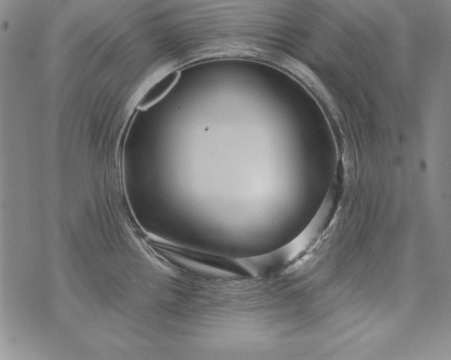 X0000076271242200610122247