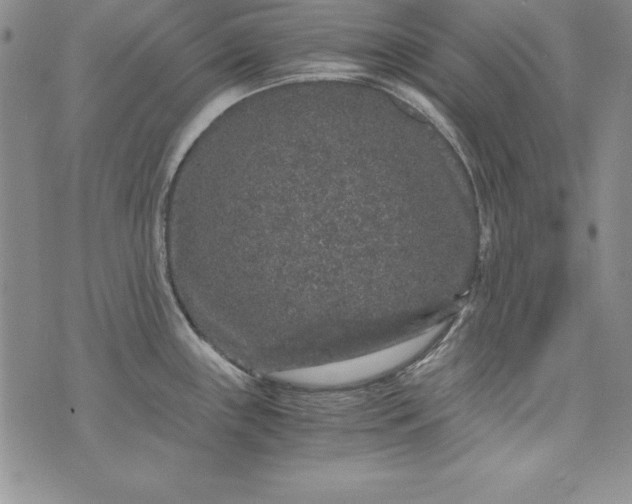 X0000076271243200610122247