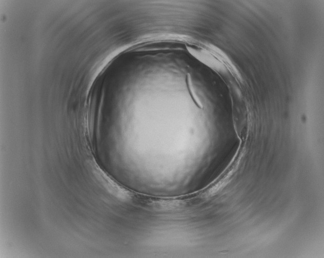 X0000076271244200610122247