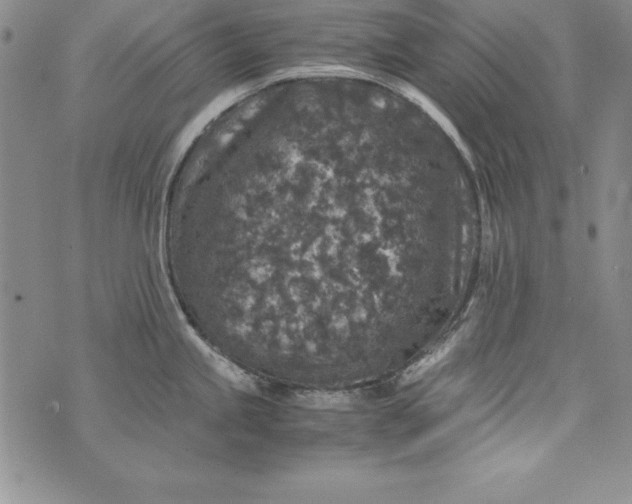 X0000076271245200610122247