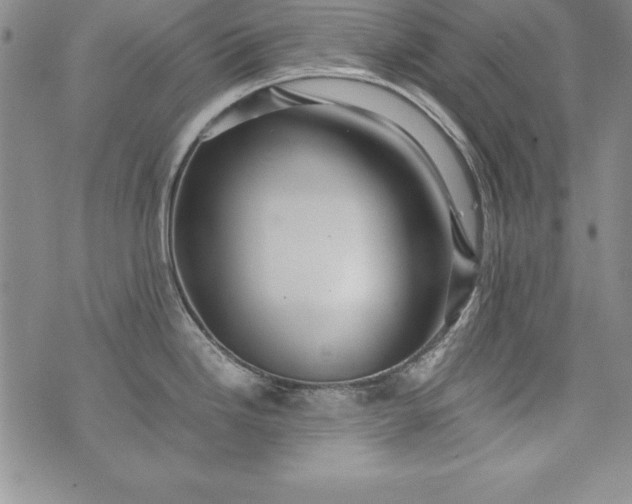 X0000076271246200610122247