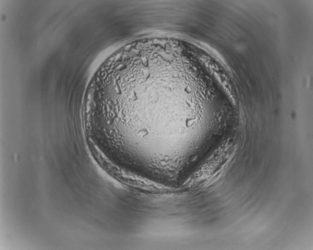 X0000076271247200610122247