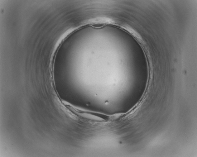 X0000076271248200610122247