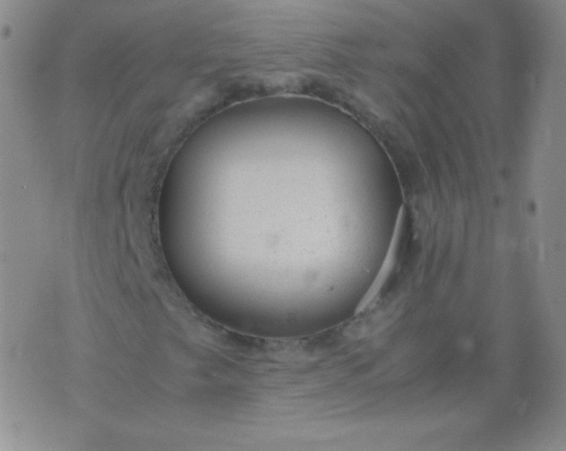 X0000076271249200610122246