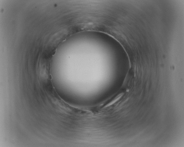 X0000076271250200610122246