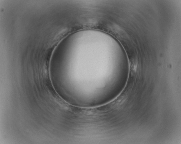 X0000076271252200610122246