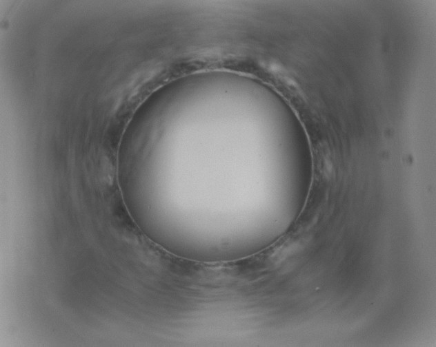 X0000076271253200610122246