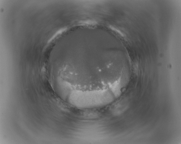 X0000076271254200610122246