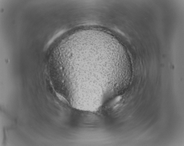 X0000076271255200610122246