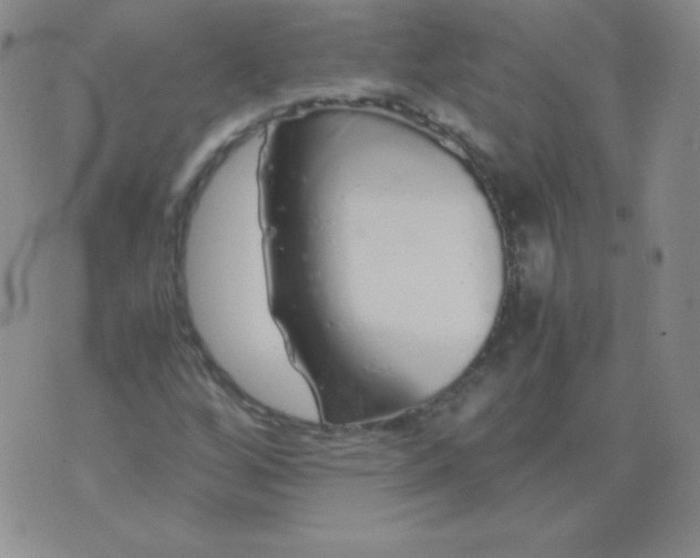 X0000076271256200610122246