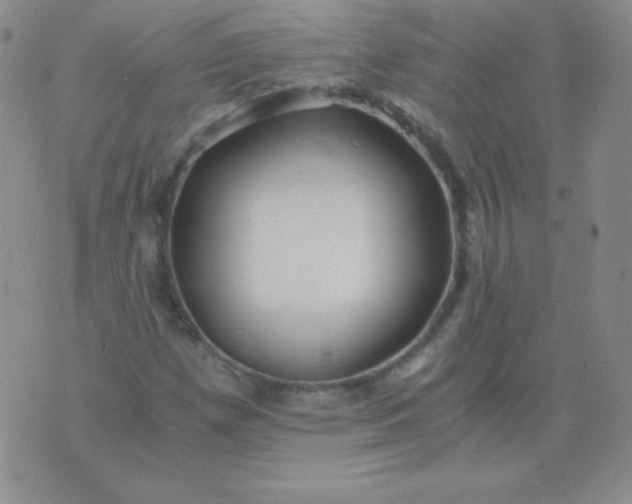 X0000076271257200610122246