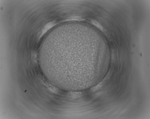 X0000076271258200610122246