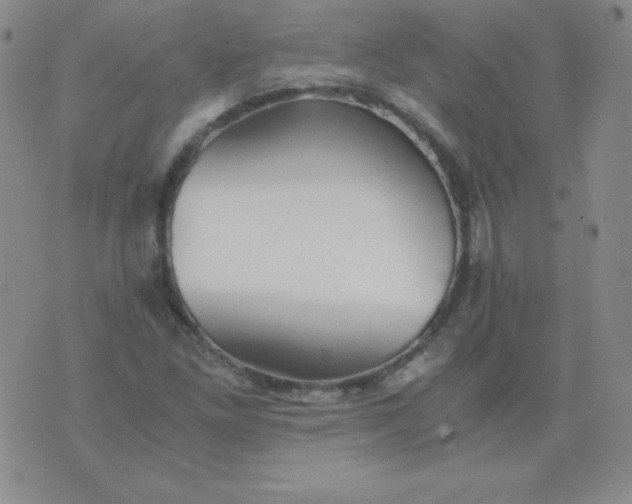 X0000076271261200610122246