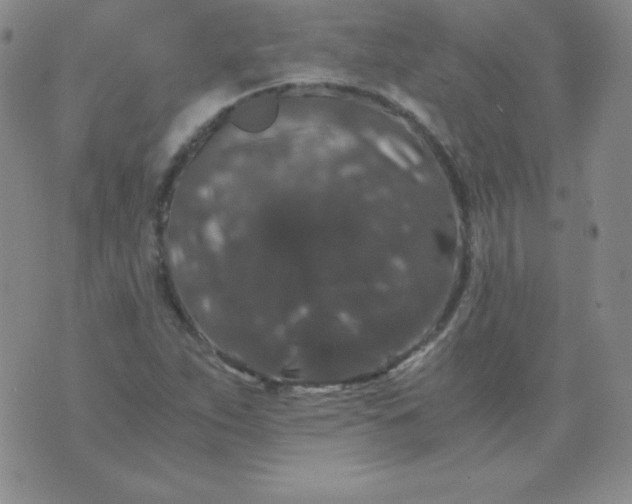 X0000076271263200610122246