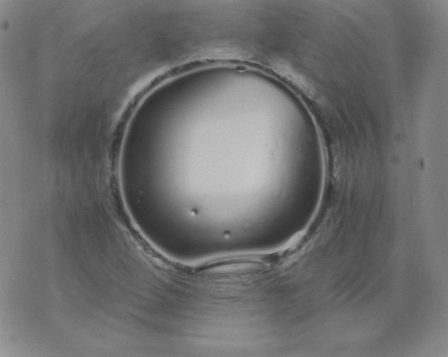 X0000076271264200610122246