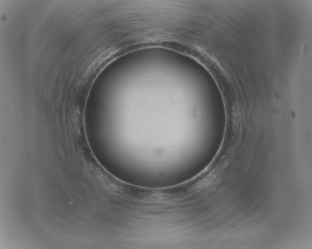 X0000076271265200610122246