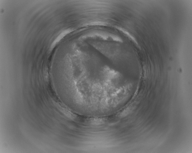 X0000076271266200610122246