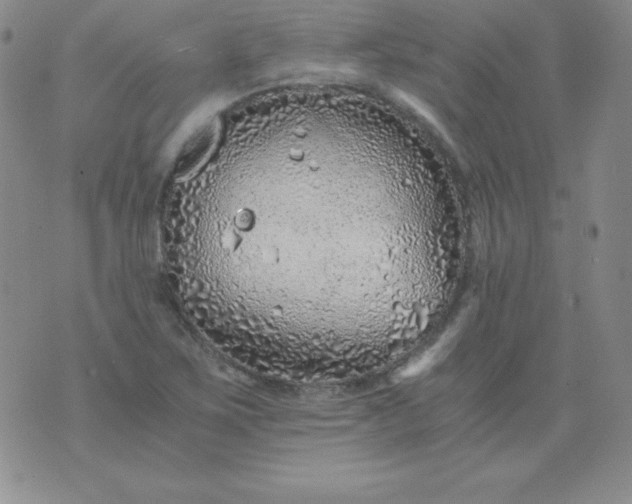 X0000076271267200610122246