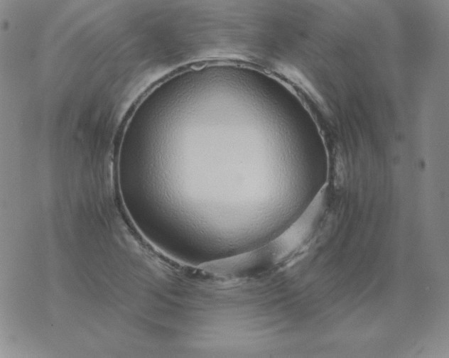 X0000076271268200610122246