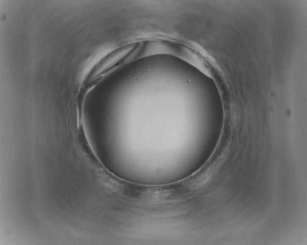 X0000076271269200610122246