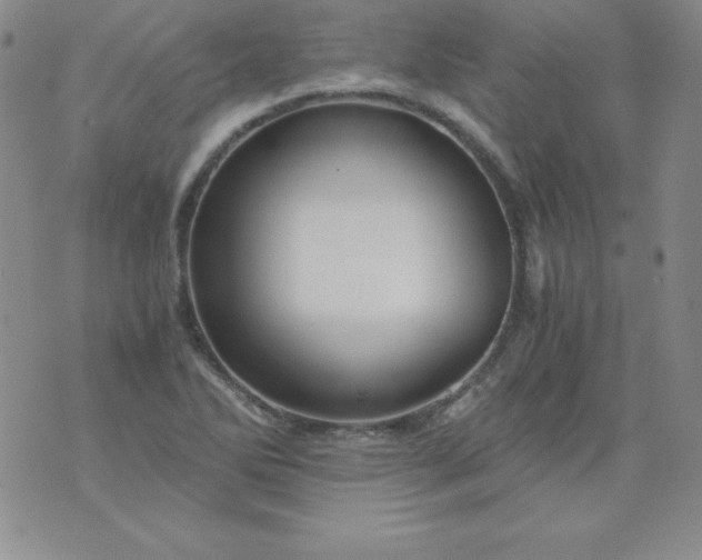 X0000076271270200610122246