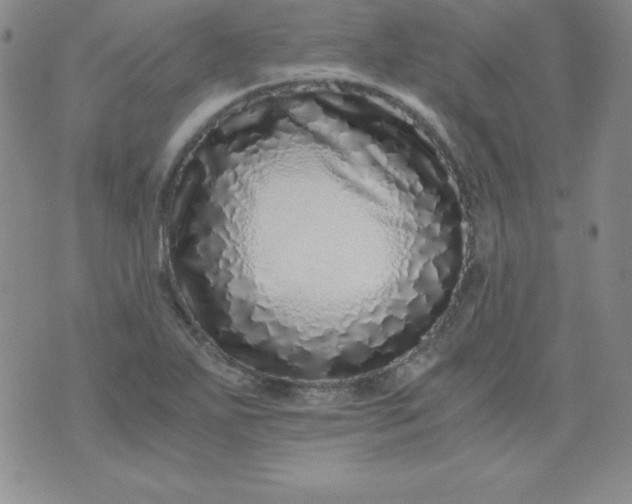 X0000076271271200610122246