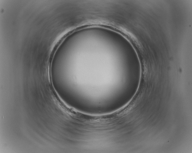 X0000076271272200610122246