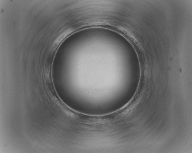 X0000076271273200610122246