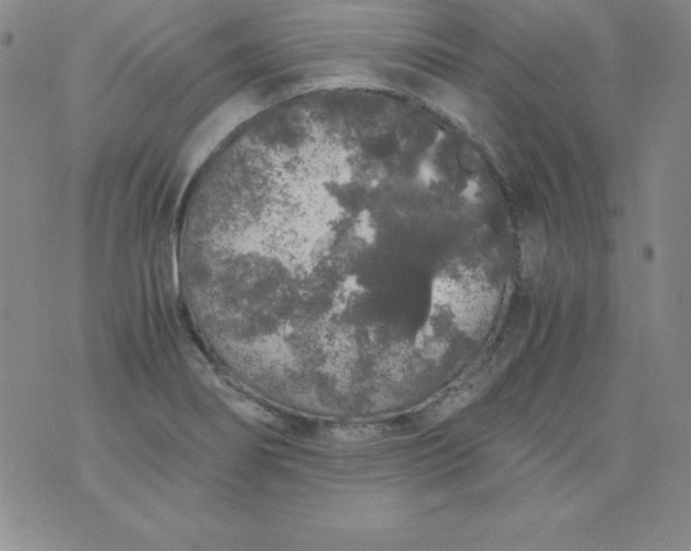 X0000076271274200610122246