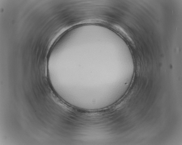 X0000076271276200610122246