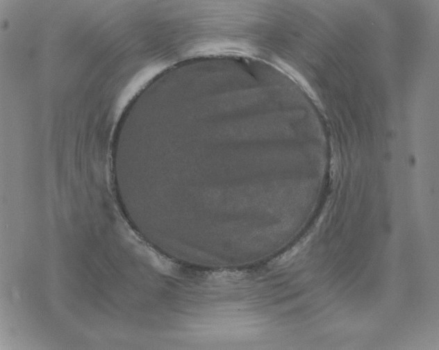 X0000076271277200610122246