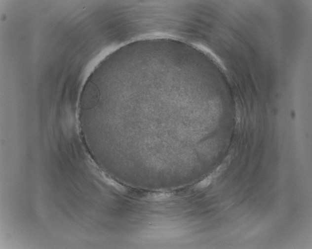 X0000076271278200610122246