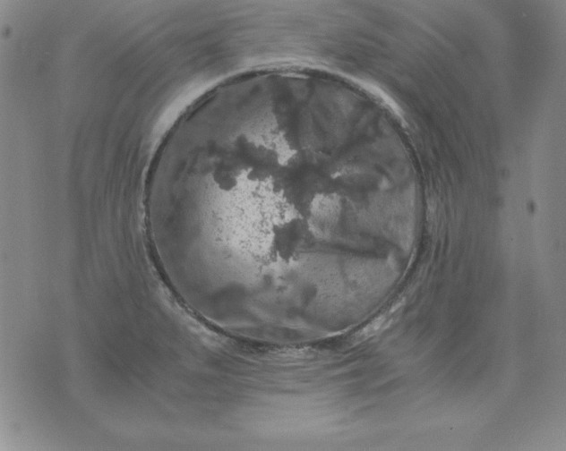 X0000076271279200610122246