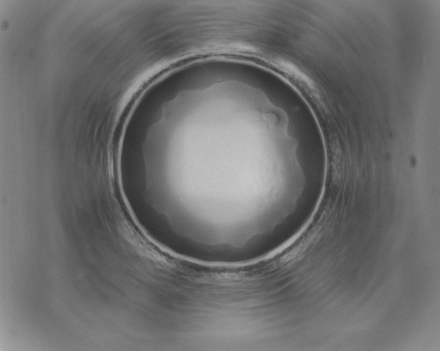 X0000076271280200610122246