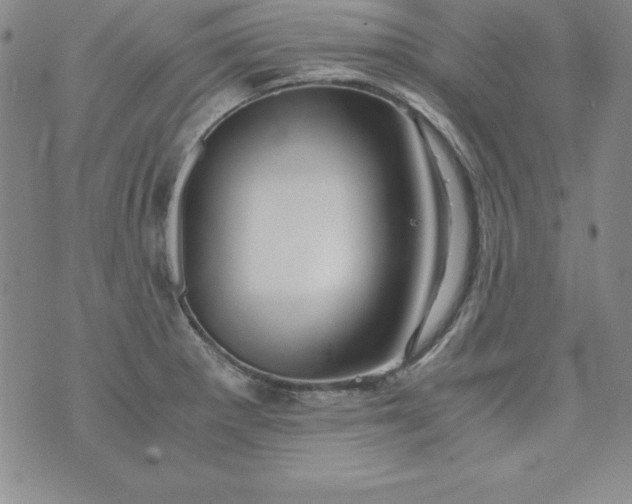 X0000076271281200610122246