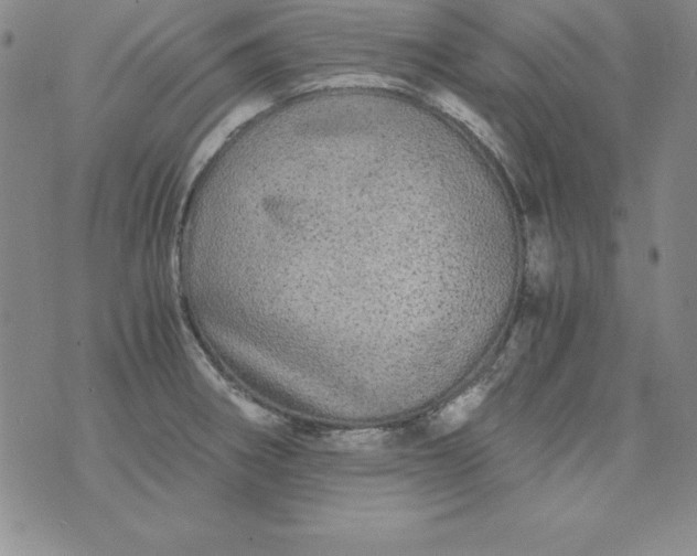 X0000076271282200610122246