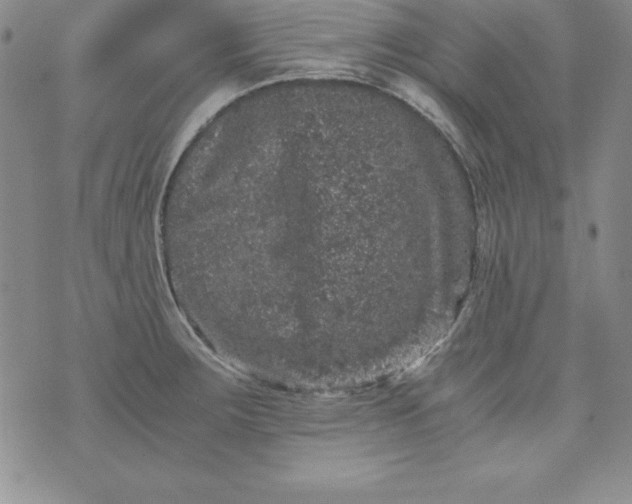 X0000076271283200610122246