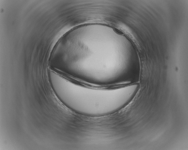 X0000076271284200610122246