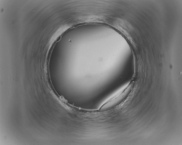 X0000076271285200610122246