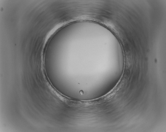 X0000076271286200610122246