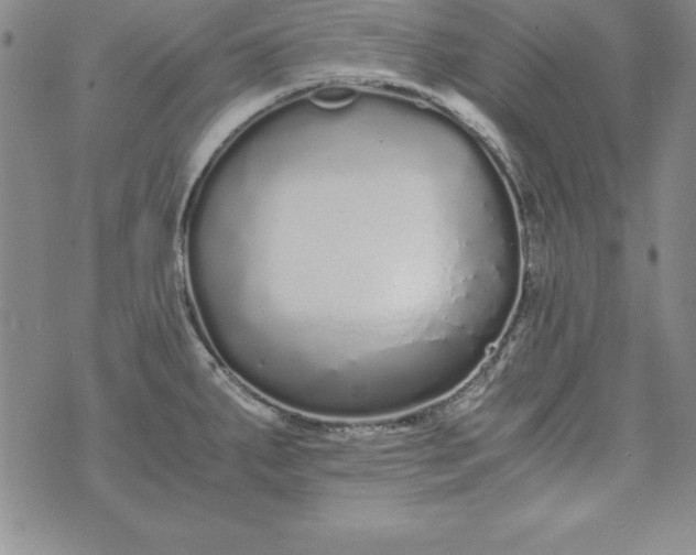 X0000076271287200610122246