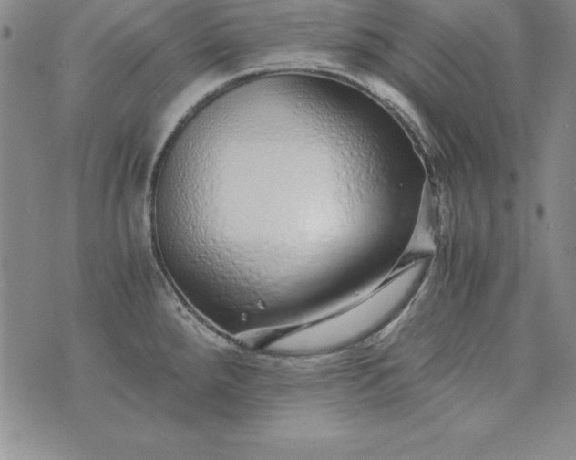 X0000076271288200610122246