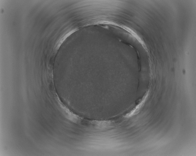 X0000076271289200610122246