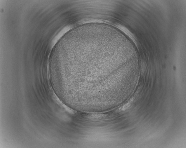 X0000076271290200610122246