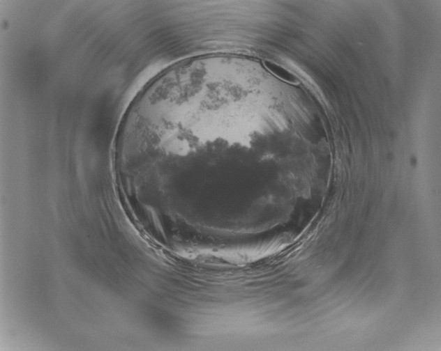 X0000076271291200610122246