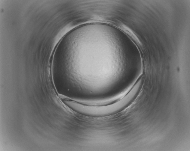 X0000076271292200610122246