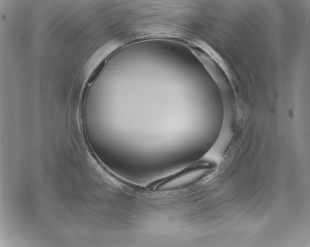 X0000076271293200610122246