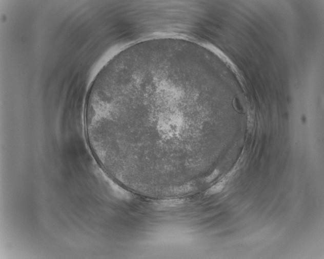 X0000076271294200610122246