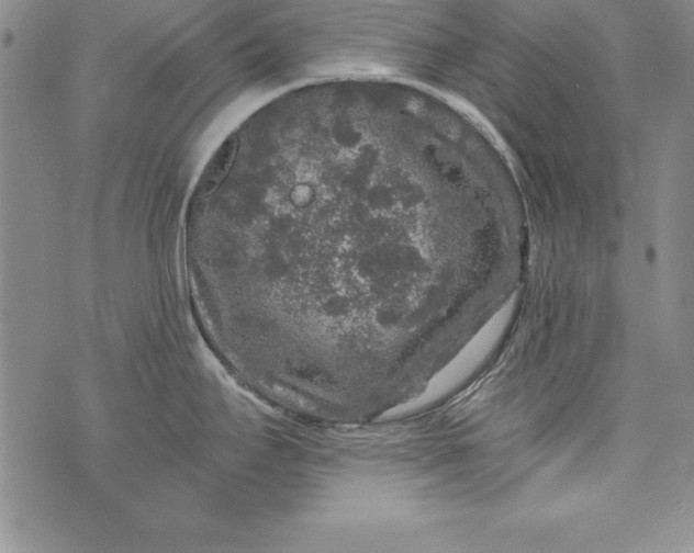 X0000076271295200610122246